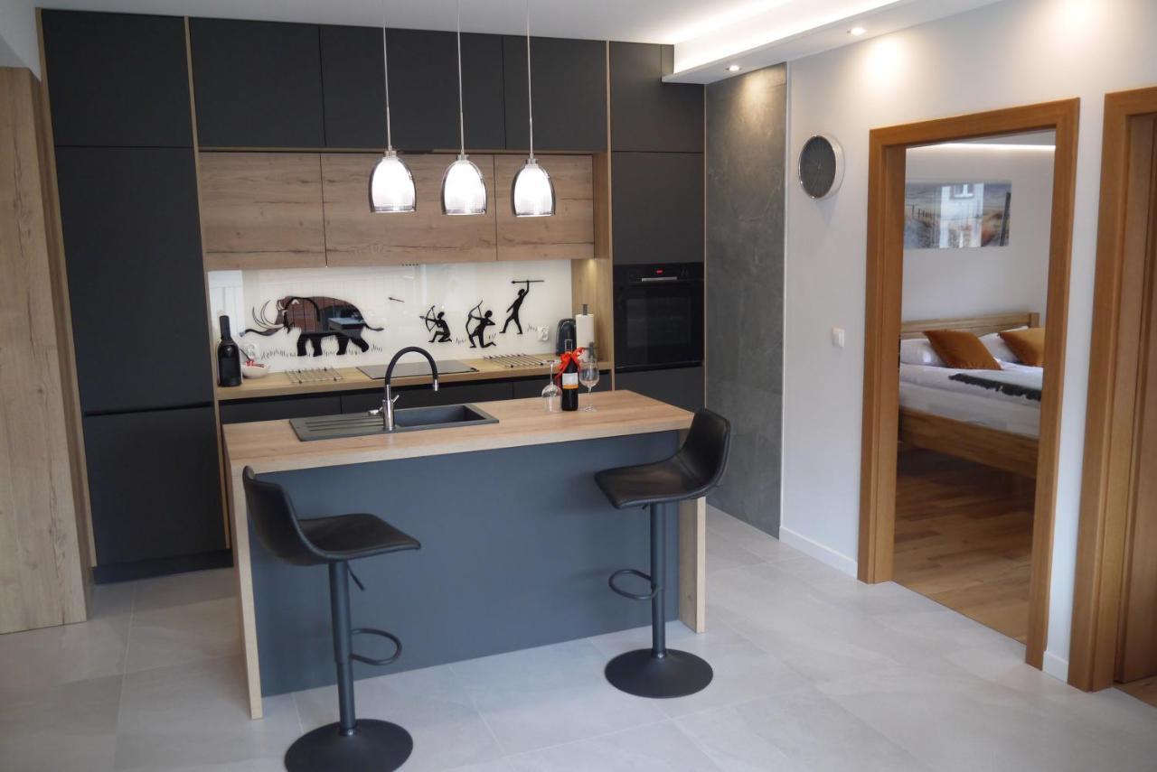 Nowy Apartament Zygmunta Premium Γκλίβιτσε Εξωτερικό φωτογραφία