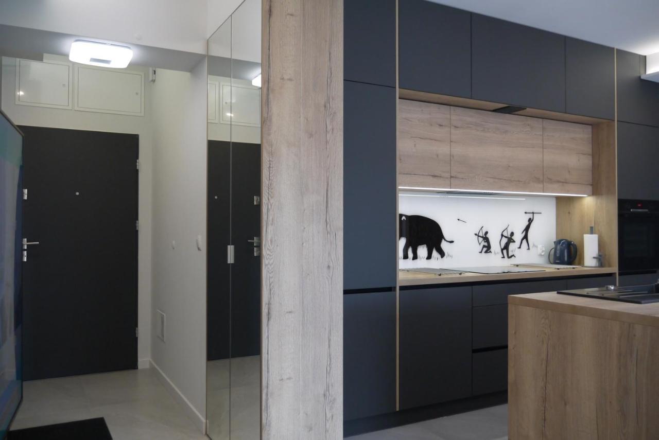Nowy Apartament Zygmunta Premium Γκλίβιτσε Εξωτερικό φωτογραφία